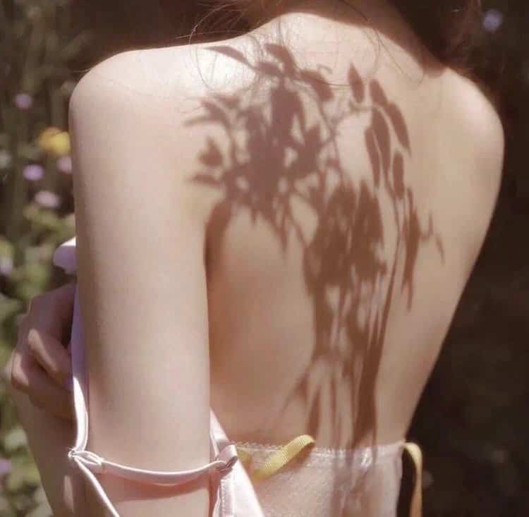 欧美收藏版视频